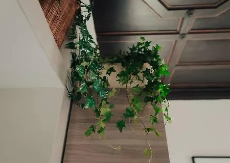 Opera.house Apartamento *