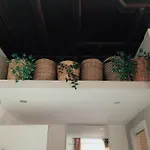 Apartmán Opera.house *